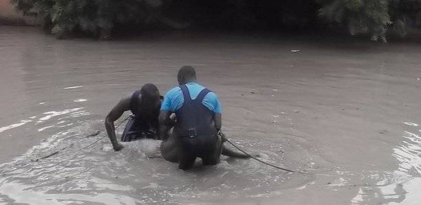 Linguère : Un talibé de 14 ans meurt noyé dans un marigot