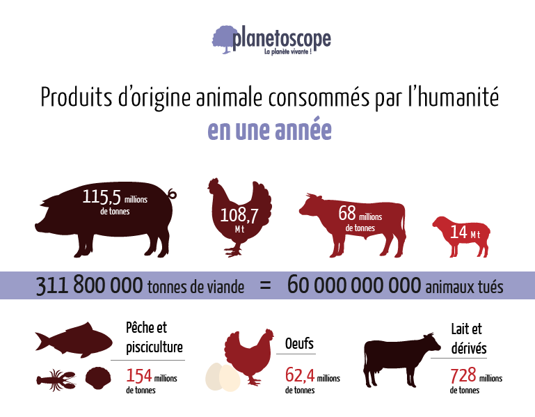 La consommation de viande en recul à travers le monde