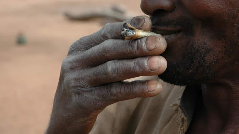 Traque des trafiquants de drogue à Ziguinchor: L’OCRTIS interpelle un caïd avec 4 Kg de chanvre indien…