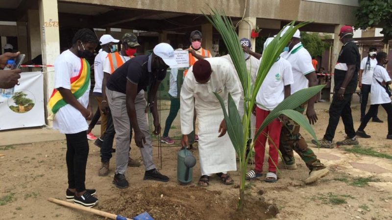 Serigne Mansour Sy Djamil et les autorités de la Gueule Tapée engagés contre la déforestation