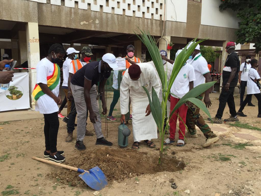 Serigne Mansour Sy Djamil et les autorités de la Gueule Tapée engagés contre la déforestation