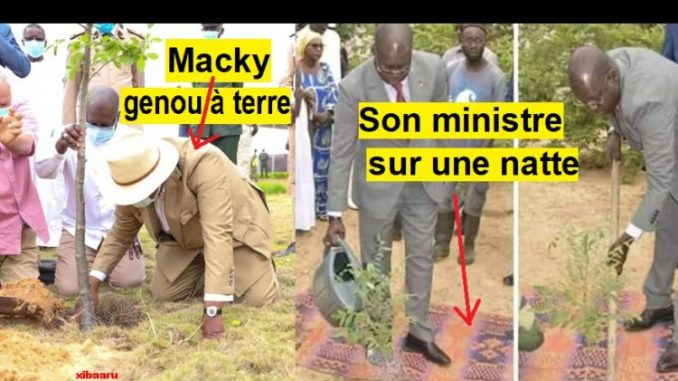 Journée De L’arbre 2020 : Macky Corrige Le Ministre De L’Environnement (Photos)