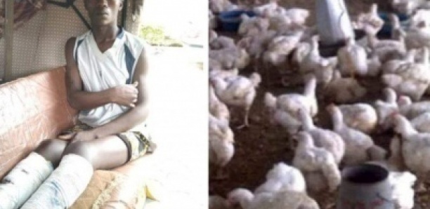 La police « torture » à mort deux individus, suite au vol de 7 poulets à Bauchi