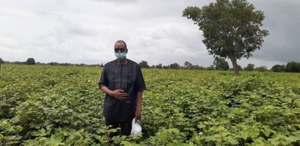 La région de Tambacounda « va participer à la souveraineté agricole nationale » (Ministre)