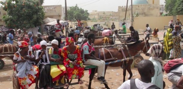 Magal 2020 : 40.000 charretiers attendus à Touba