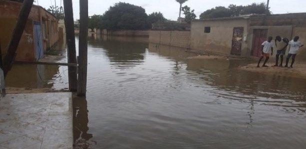 Inondations à Tivaouane : Maisons englouties, axes routiers impraticables