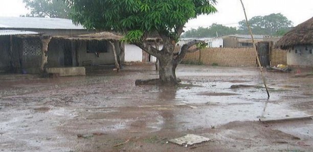 Dahra : Les pluies font 4 morts en 1 mois