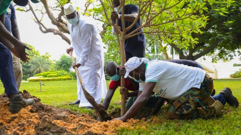 (05 Photos) Le Président Macky Sall a planté ce Vendredi son 5ème arbre au palais