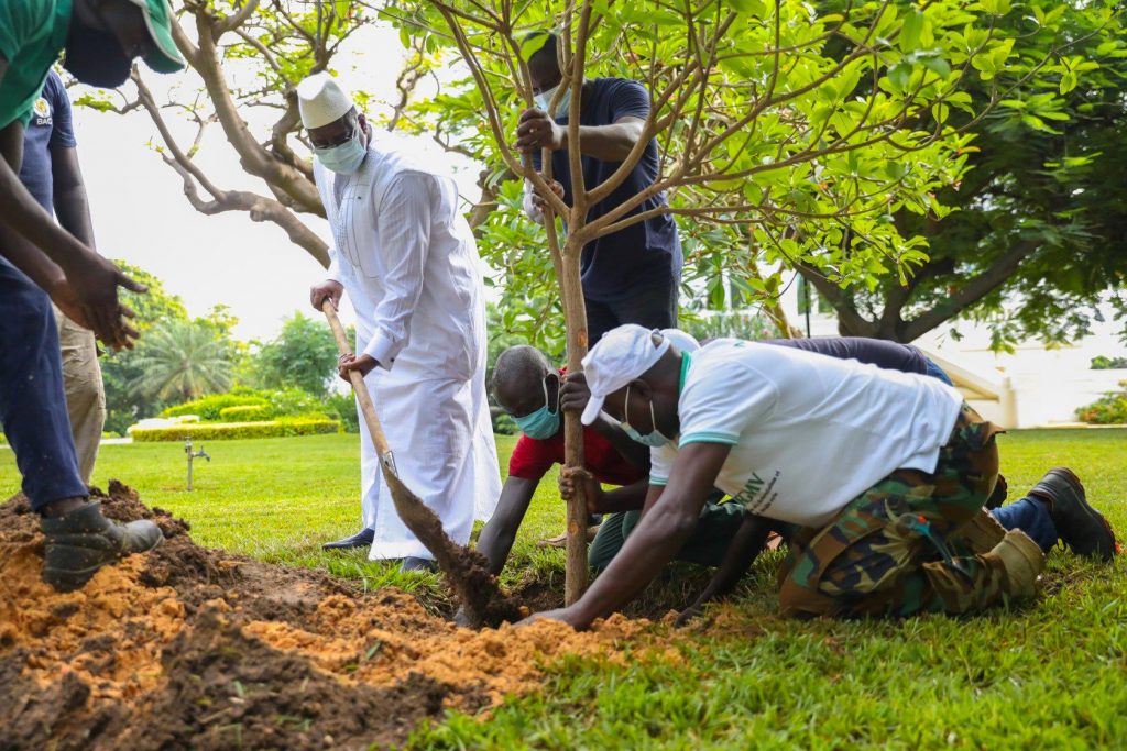 (05 Photos) Le Président Macky Sall a planté ce Vendredi son 5ème arbre au palais