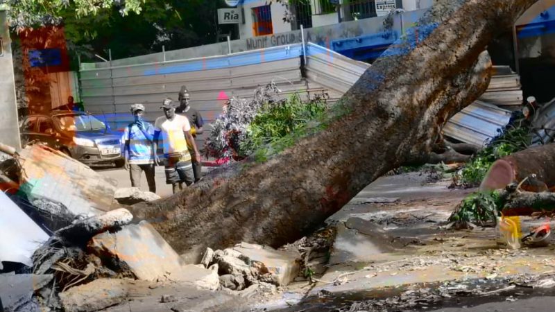 FORTES PLUIES A REFANE : UN ARBRE S’AFFAISSE SUR UN VÉHICULE ET…