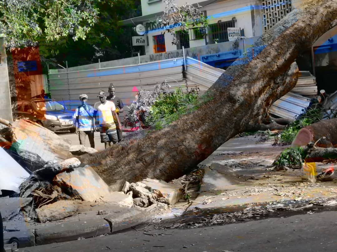 FORTES PLUIES A REFANE : UN ARBRE S’AFFAISSE SUR UN VÉHICULE ET…