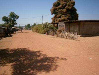 “Litige foncier à Ziguinchor : Un scandale sur 592 Hectares à Niaguis !”