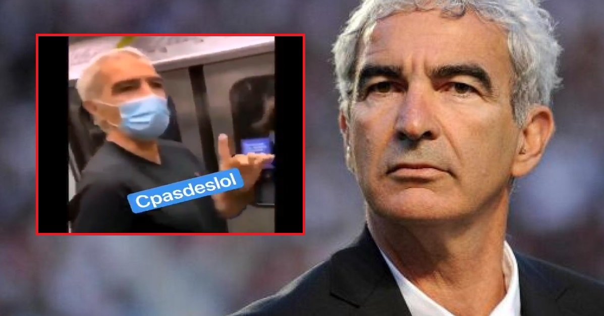 Raymond Domenech agressé verbalement dans le métro