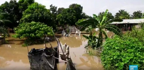 Inondations au Sénégal : Greenpeace Afrique pointe les insuffisances du Plan Orsec