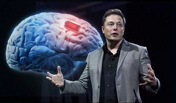 Neuralink : Elon Musk dévoile un cochon doté d’une puce implantée dans le cerveau