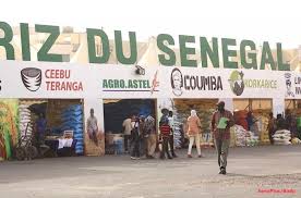 Au Sénégal, le long chemin vers l’autosuffisance en riz