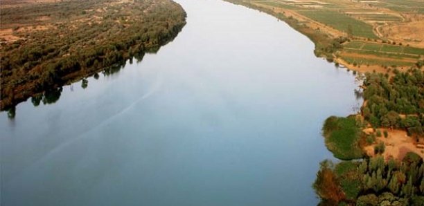 Le Fleuve Sénégal franchit sa cote d’alerte à Matam