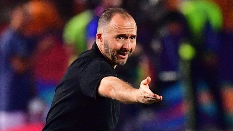 Algérie : Djamel Belmadi lâche ses vérités sur les cas Aouar, Cherki, Gouiri et Aït-Nouri