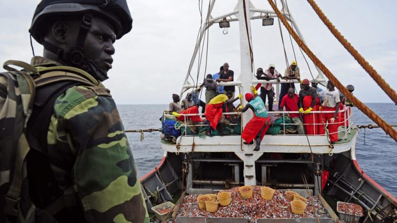 La Marine intercepte 186 migrants clandestins en haute mer