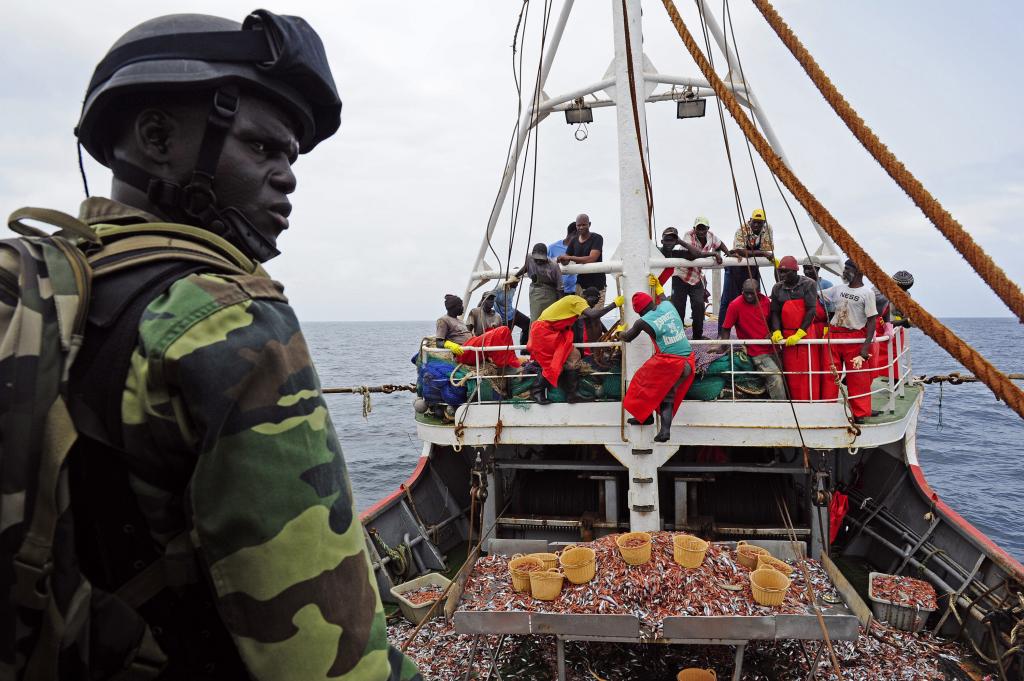 La Marine intercepte 186 migrants clandestins en haute mer