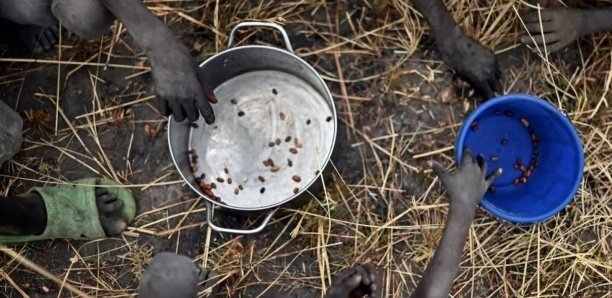 Faim dans le monde : Le Sénégal 67e sur 117 pays