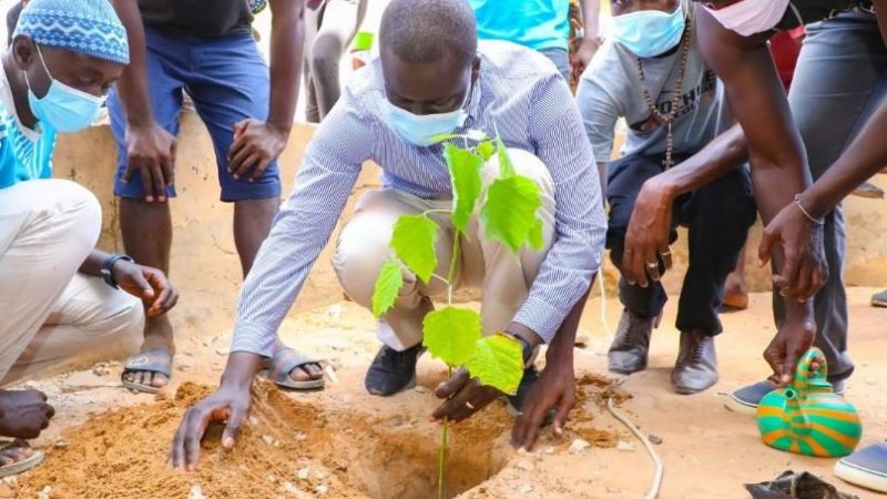 Grand-Yoff : Le DG de l’ADIE participe à la journée de set-setal, Eut wou Set, Cleaning day et de reboisement…