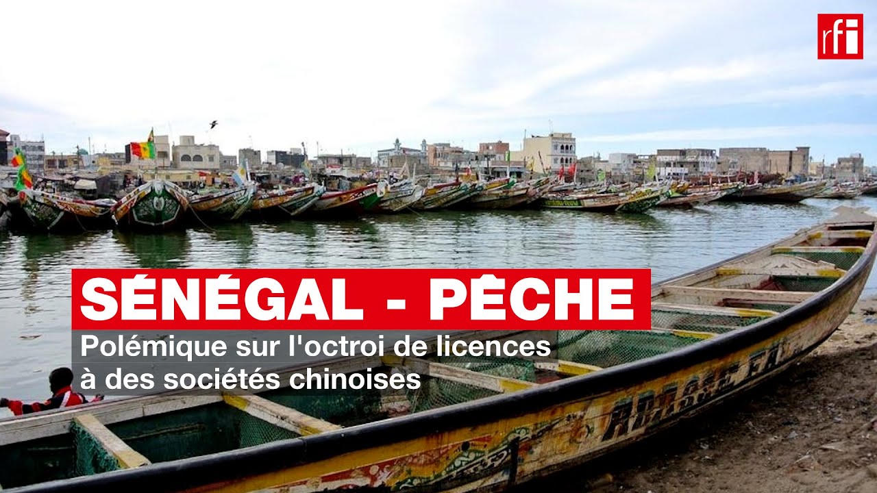 [Audio] Polémique sur l’octroi de licences de pêche à des sociétés chinoises