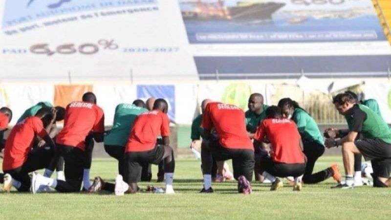 Le premier entraînement des Lions en images