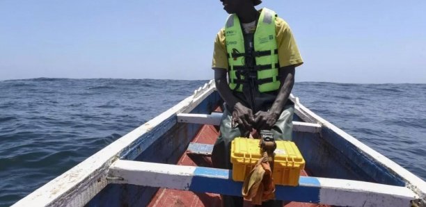 Maladie mystérieuse : Les pêcheurs marchent le 4 décembre prochain