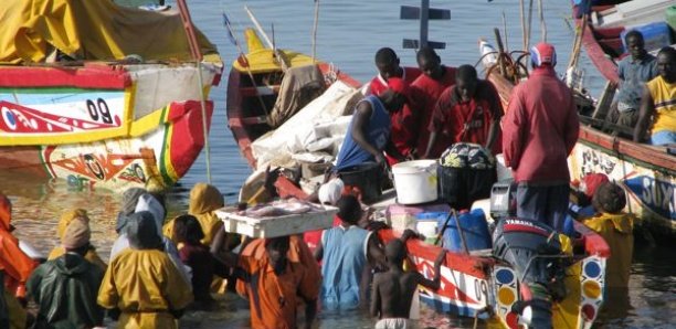 Licences de pêche : Les acteurs de Joal-Fadiouth font le procès de l’État