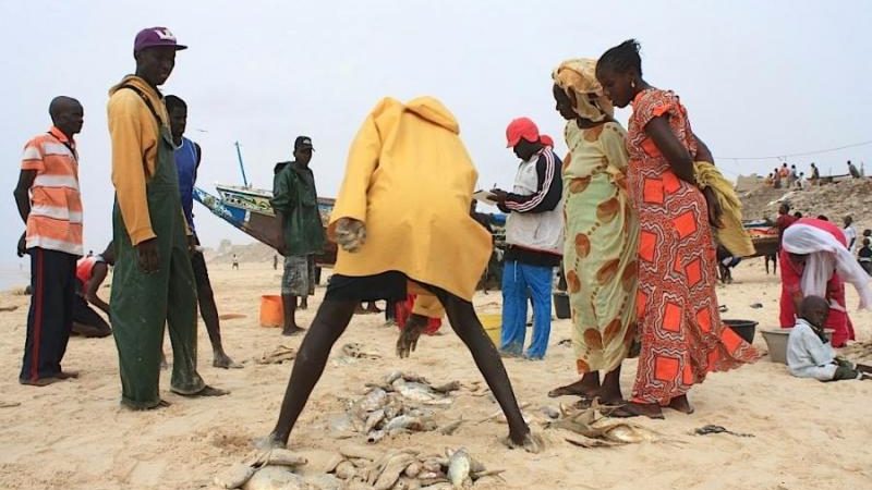 Yoff : Les pêcheurs se démarquent de la « maladie mystérieuse » et tancent sévèrement Ahmed Aidara