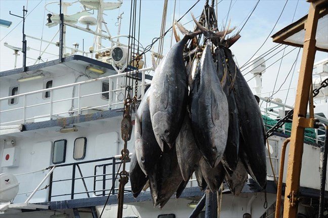 Espagne : L’accord de pêche entre l’UE et le Sénégal suscite déjà des critiques