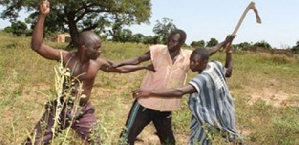 Diourbel : Tailladé par des cultivateurs, un jeune berger entre la vie et la mort