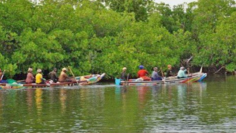 Podor : Deux personnes périssent après le chavirement d’une pirogue