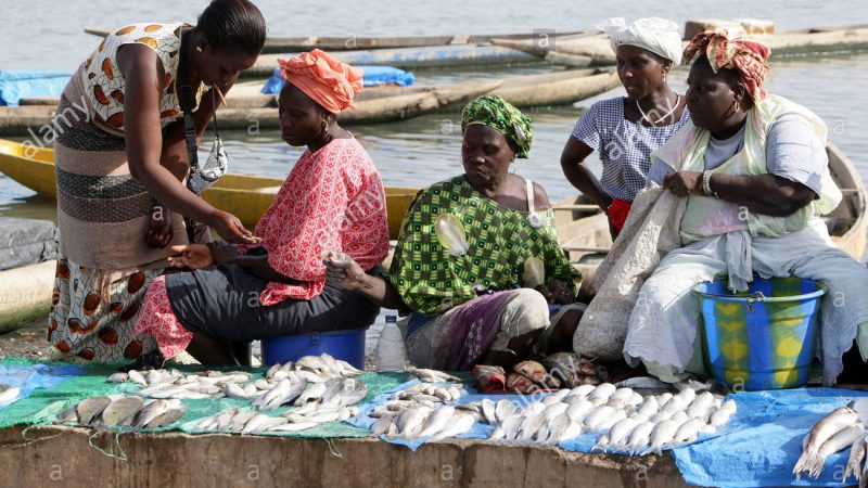 Maladie ‘mystérieuse » : Psychose à Mbour, les clients désertent les vendeurs de poissons