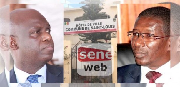 Avenue au nom de Macky Sall: Mary Teuw Niane tire sévèrement sur Mansour Faye