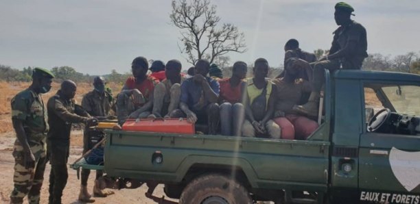 Saraya / Orpaillage clandestins : 12 maliens et 02 Burkinabé interpellés par la Gendarmerie à Gamba-Gamba