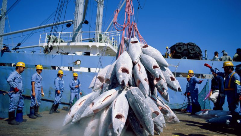 Débat sur les accords de pêche : L’Union européenne monte au créneau