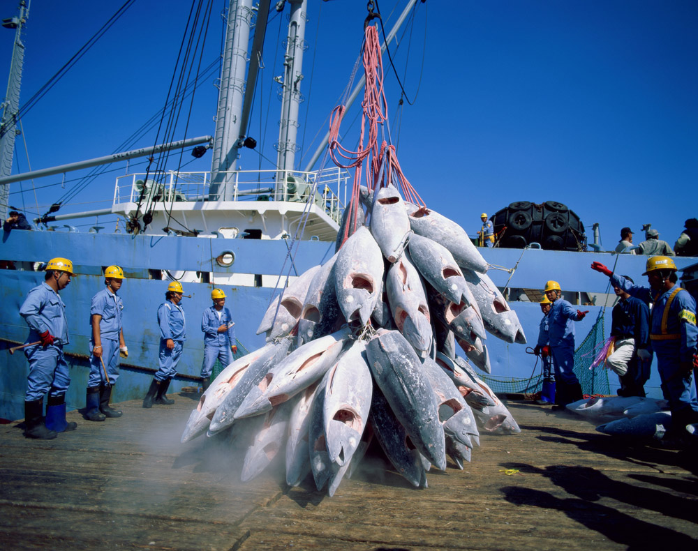 Débat sur les accords de pêche : L’Union européenne monte au créneau