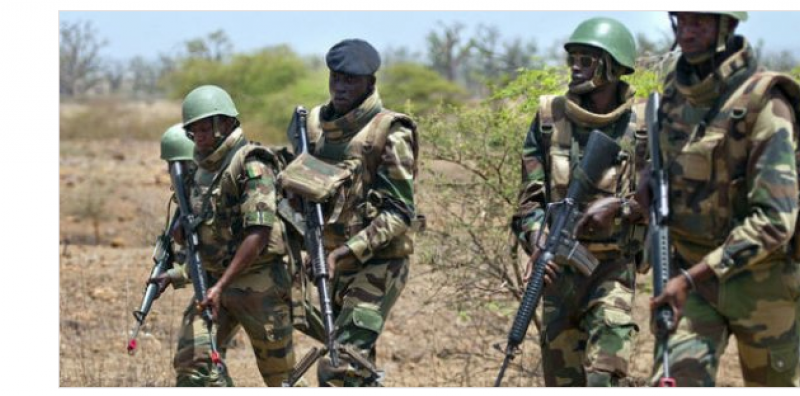 Frontière sénégalo-bissau-guinéenne : Les bandes armées entre le marteau et l’enclume