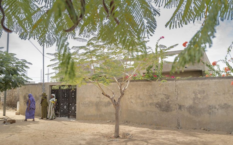 «Je ne l’ai jamais vue sans un livre à la main» : sur les traces de Diary Sow au Sénégal