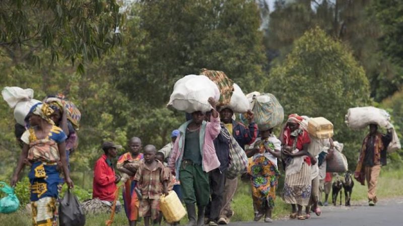 Casamance : Les émouvantes confidences de trois réfugiés