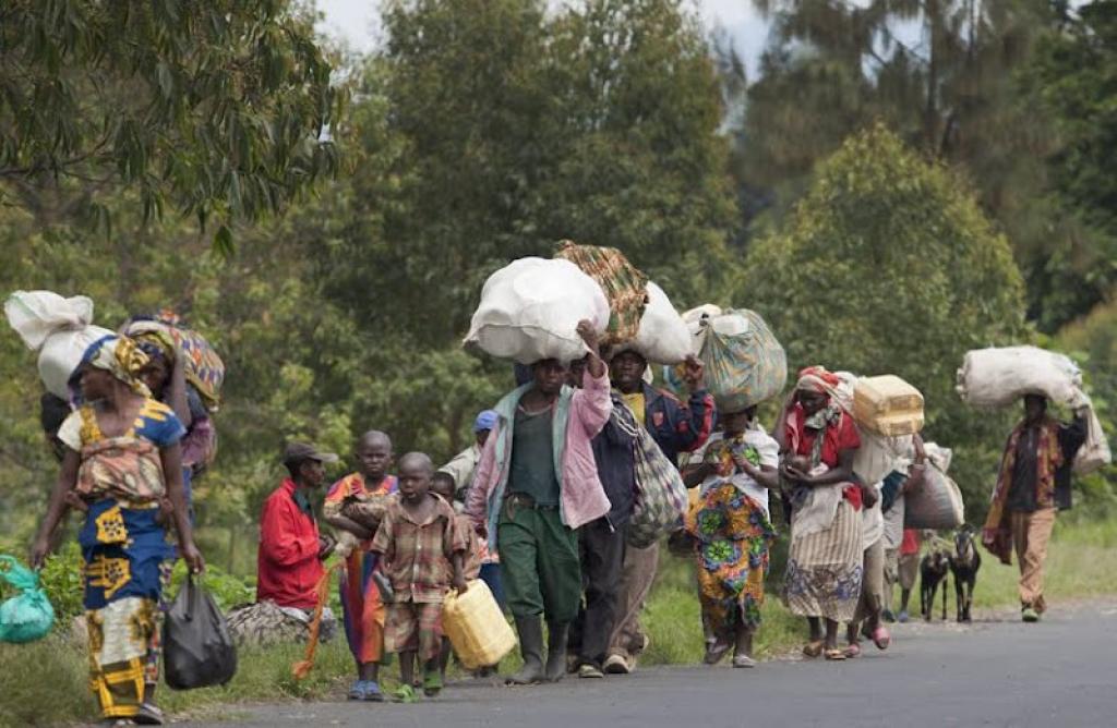 Casamance : Les émouvantes confidences de trois réfugiés