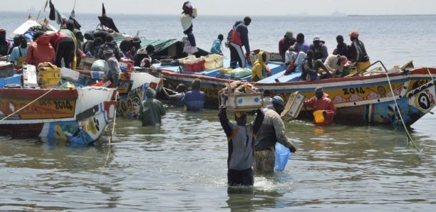 Pêche : Un conseil présidentiel prévu au mois de mai