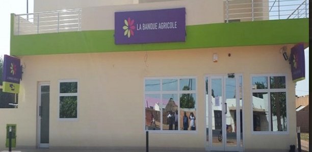 Escroquerie portant sur 55 millions Cfa : L’ex caissier de la Banque agricole de Kolda condamné à deux ans ferme pour faux en écriture de banque