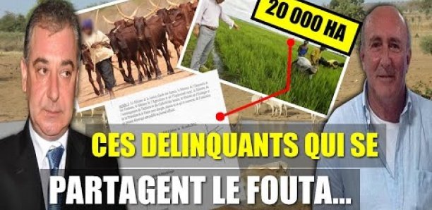 20 000 hectares de ses terres attribués à des étrangers : Le Fouta menacé de disparition ? (Par Xalaat TV)