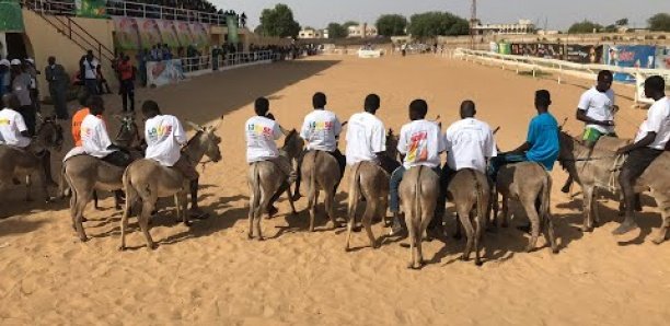 Course d’ânes à Mbacké : Découvrez les classements de « Macky », « Sonko », « Karim », « Adji Sarr » et « Guy Marius »