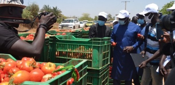 Insertion des jeunes : L’ANPEJ et la FAO lancent un programme de 23 fermes agricoles