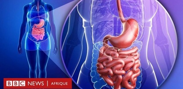 Ramadan : que se passe-t-il dans votre corps quand vous jeûnez?