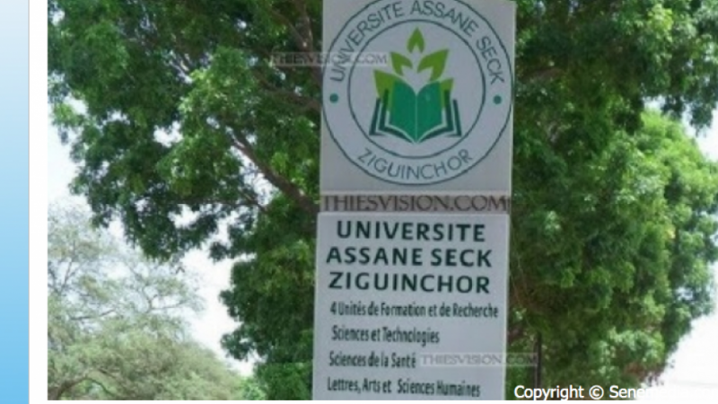 Université Assane Seck de Ziguinchor : L’intersyndicale fusille le ministre Cheikh Omar Hann